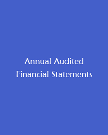 Company annual reports that contain important financial information